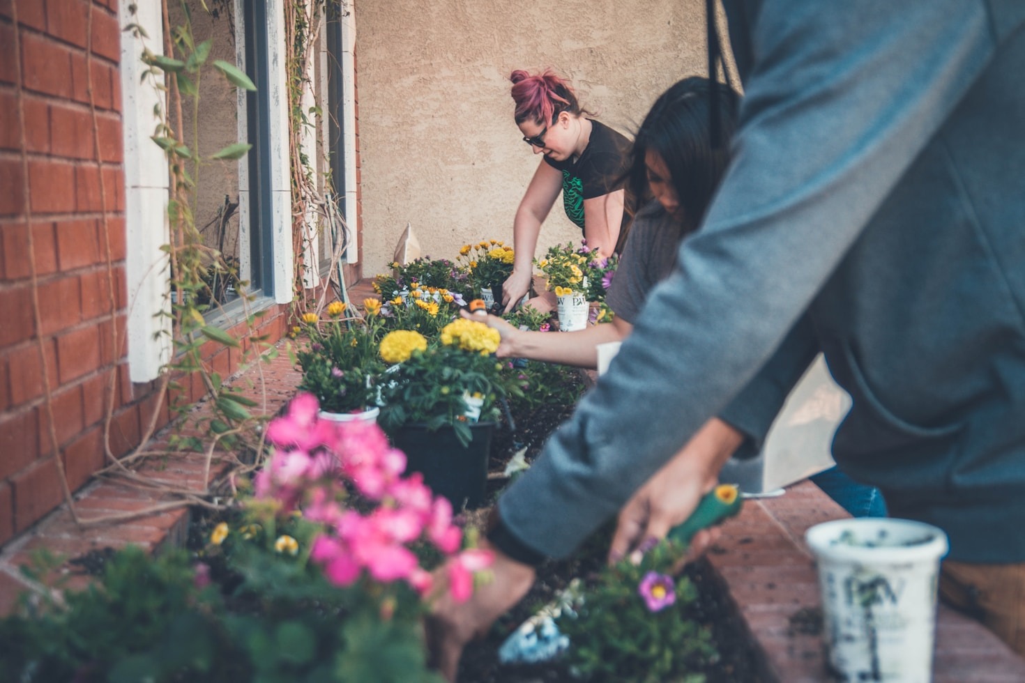 The Impact of Shared Gardens on Urban Areas