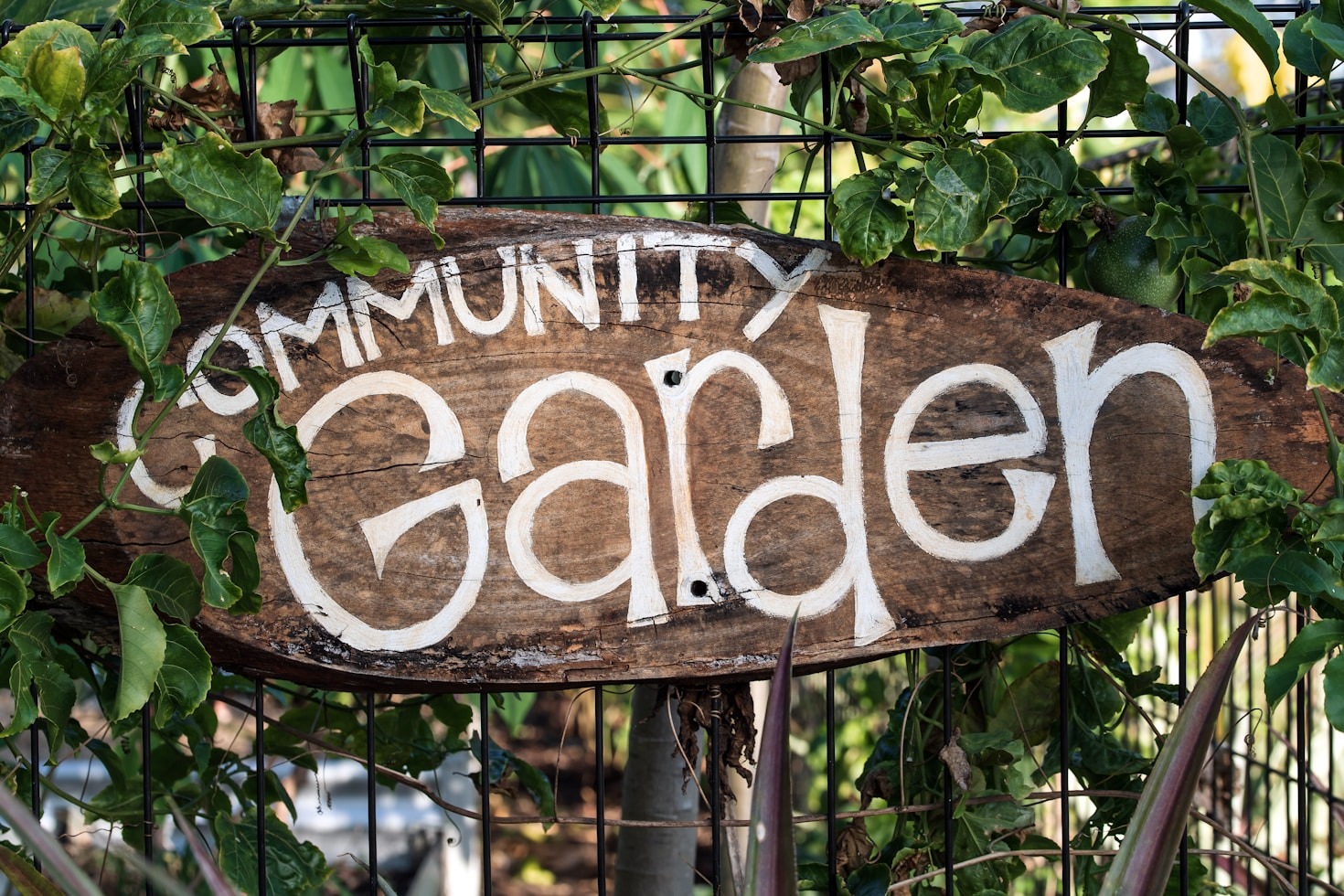 Transforming Vacant Spaces into Green Paradises