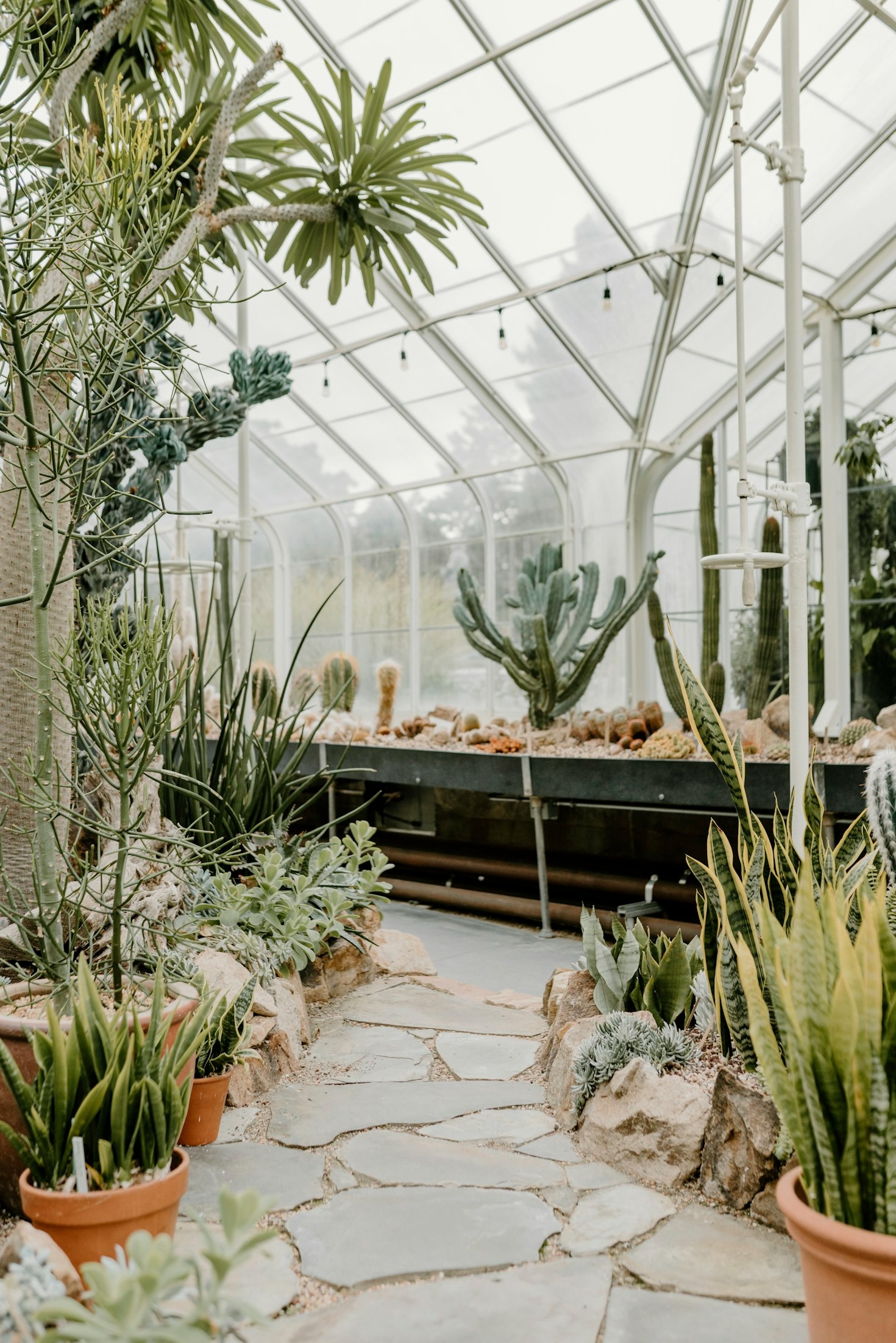 Fruits of Connection: Building Inclusive Spaces