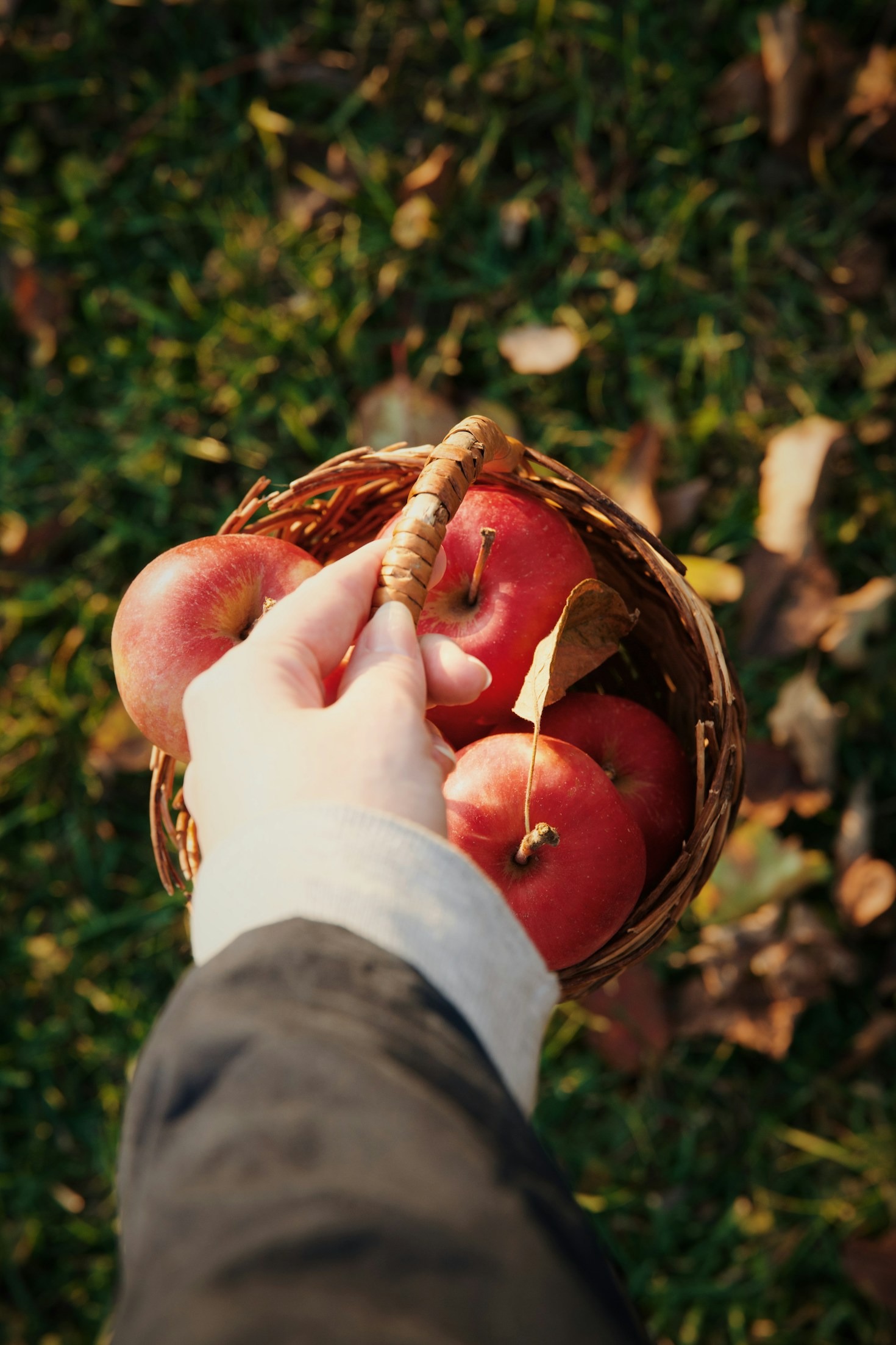 The Benefits of Accessible Fresh Produce for Communities