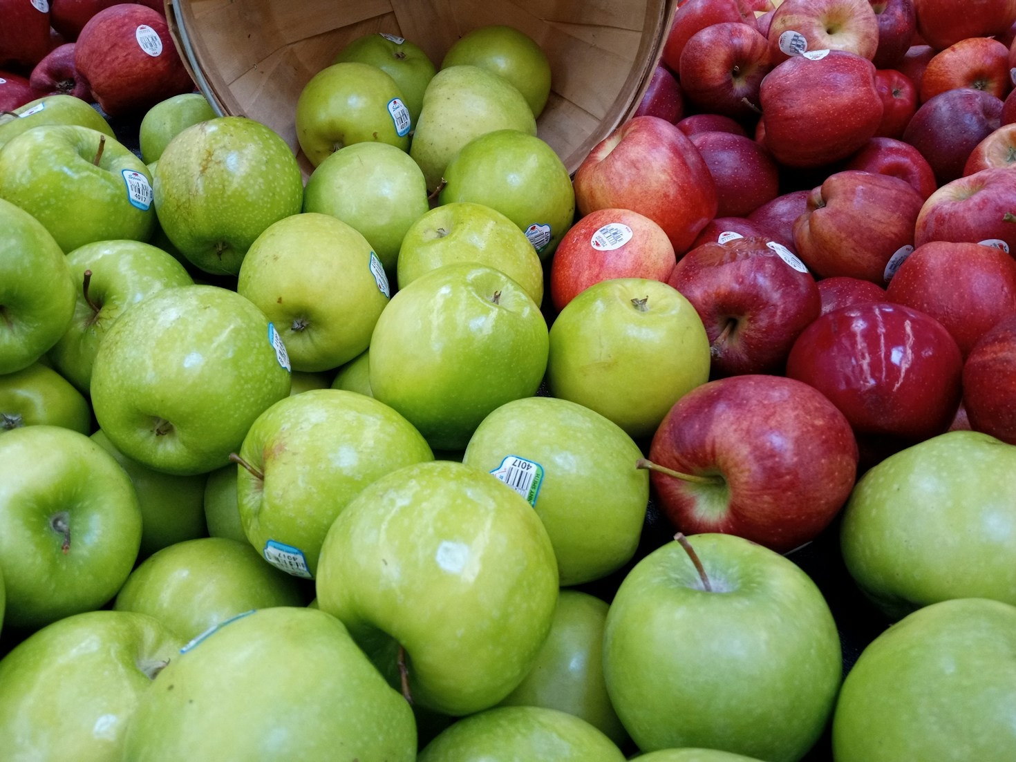 How Nature Brings People Together in Edible Planet Projects